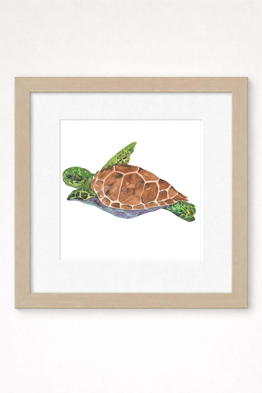 giclee print of watercolor painting of green sea turtle by emily bourassa in white matting