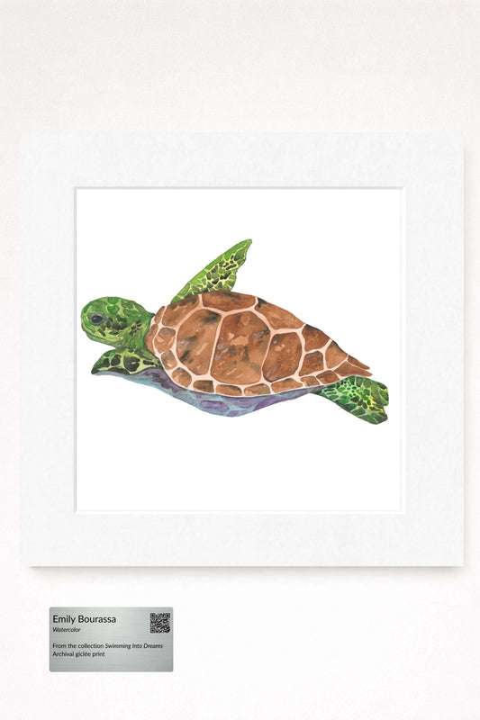 giclee print of watercolor painting of green sea turtle by emily bourassa in white matting