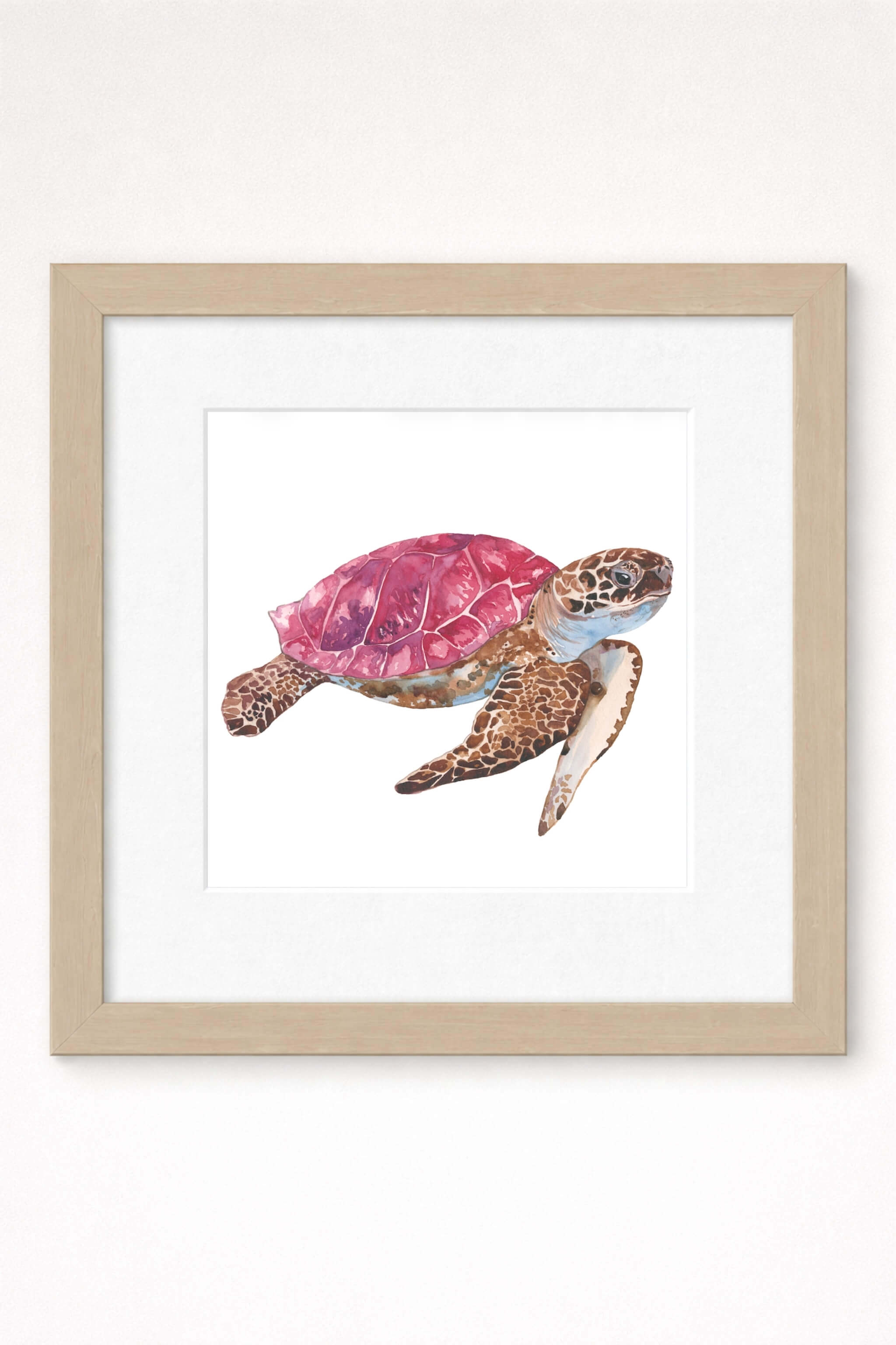 giclee print of watercolor painting of pink sea turtle by emily bourassa in brown frame