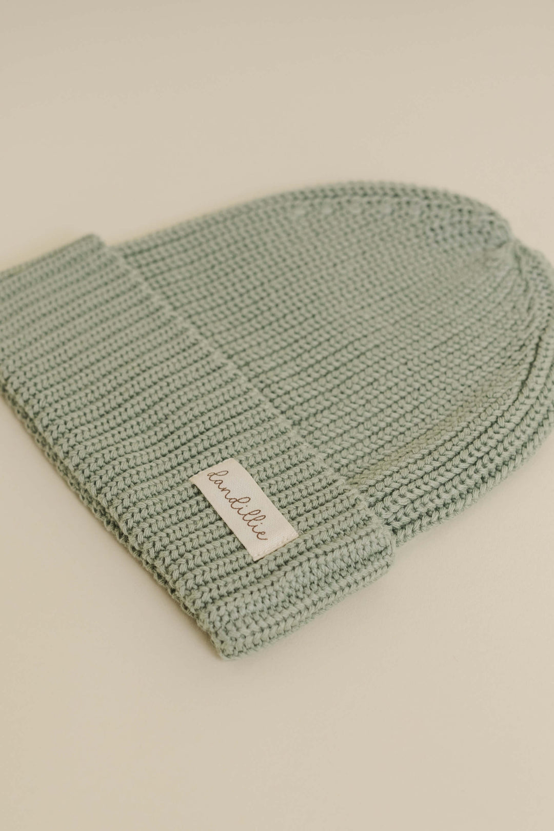 Fern Knit Beanie