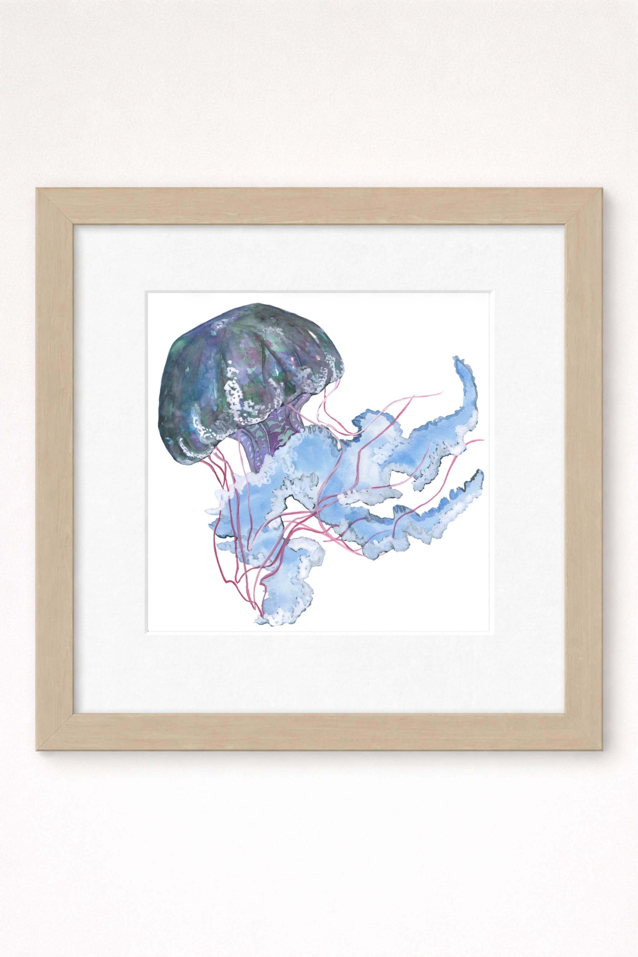 giclee print of watercolor painting of blue jellyfish by emily bourassa in brown frame