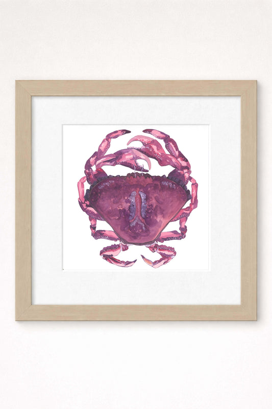 giclee print of watercolor painting of pink crab by emily bourassa in brown frame