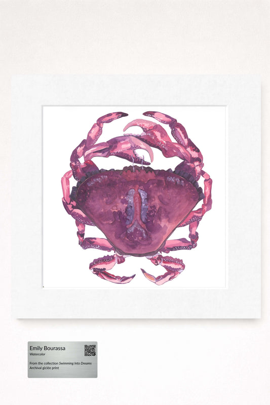 giclee print of watercolor painting of pink crab by emily bourassa in white matting