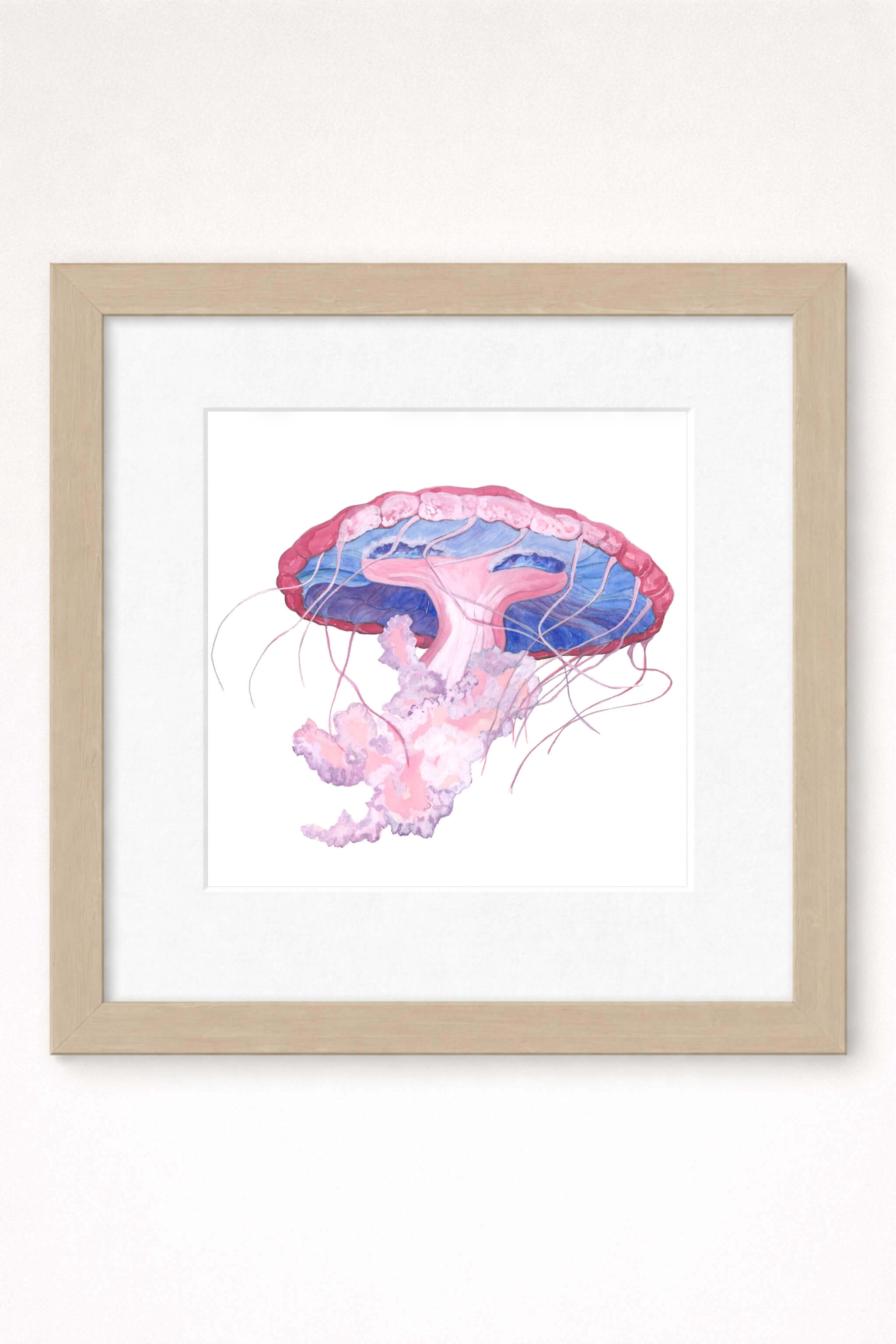 giclee print of watercolor painting of pink jellyfish by emily bourassa in brown frame